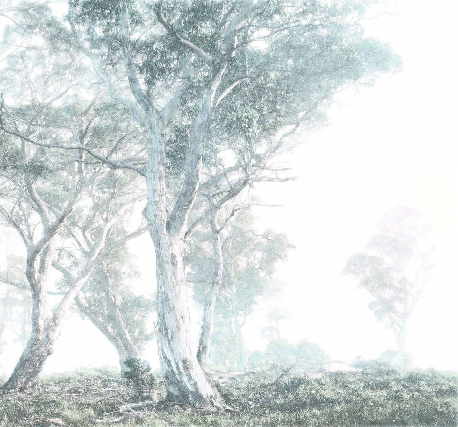 Komar Vliesbehang Magic Trees (1 stuk) - Foto 4