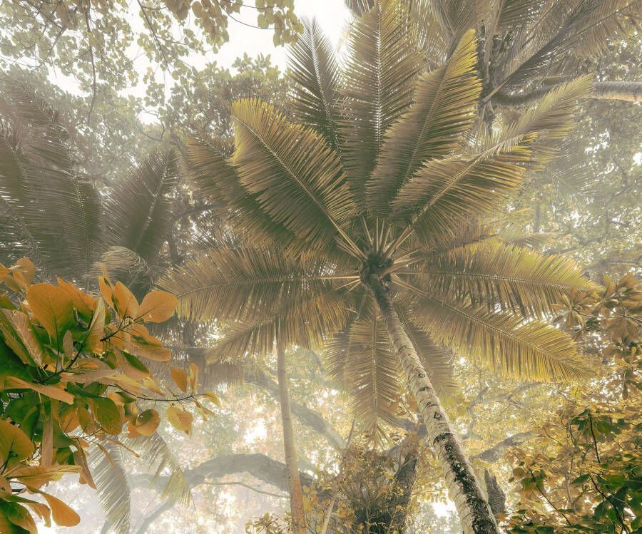 Komar Vliesbehang Palms Panorama (1 stuk) - Foto 8