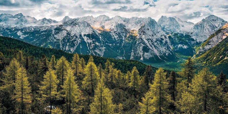 Komar Vliesbehang Wild Dolomites (1 stuk) - Foto 4