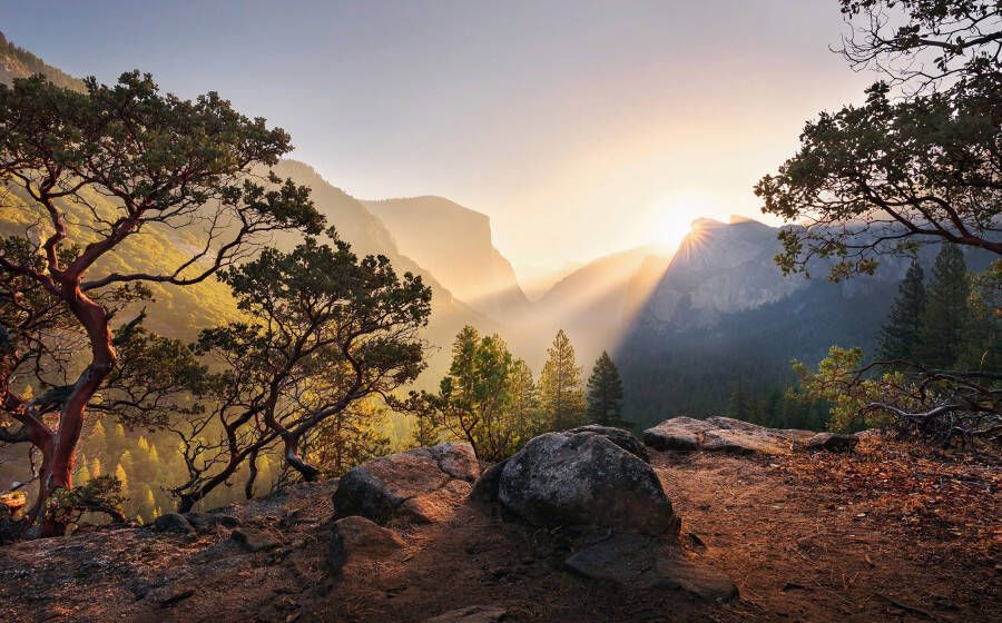Komar Vliesbehang Yosemites Secret (9 stuks) - Foto 4
