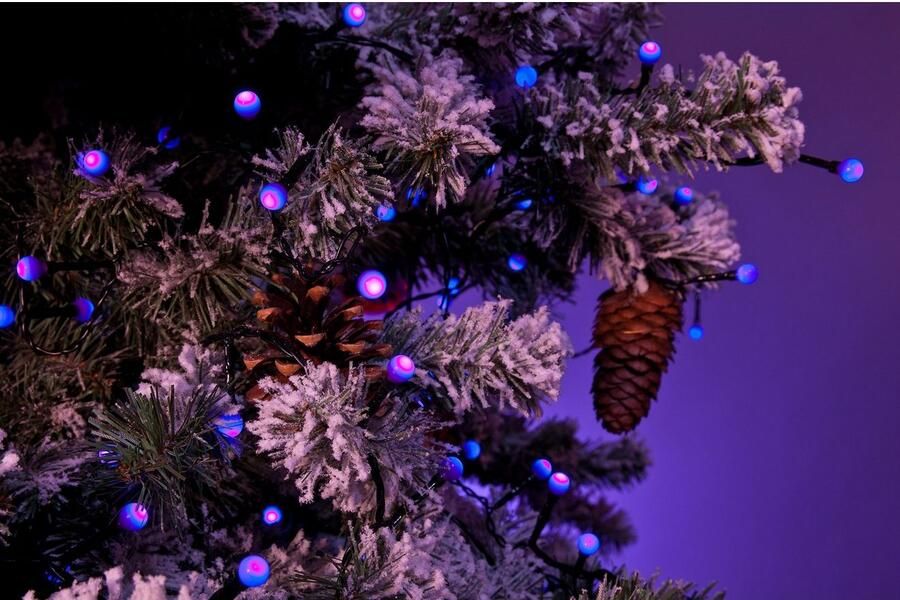 KONSTSMIDE Led-lichtsnoer Kerstversiering buiten Led bollichtketting ronde dioden 80 purperkleurige dioden (1 stuk) - Foto 6