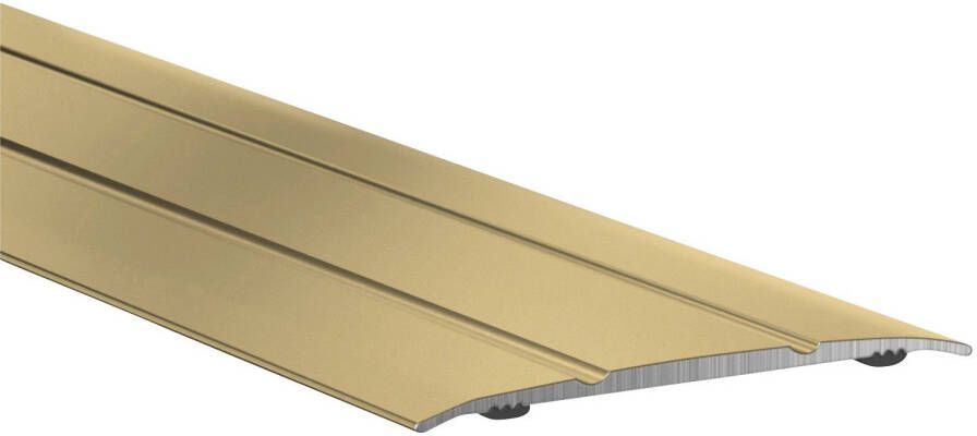 Küberit Overgangsprofiel Overgang 438 SK Bxl: 3 8x100 cm zelfklevend (2 stuks)