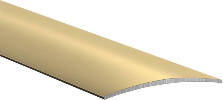 Küberit Overgangsprofiel Overgang 459 SK Bxl: 3x100 cm zelfklevend (2 stuks)