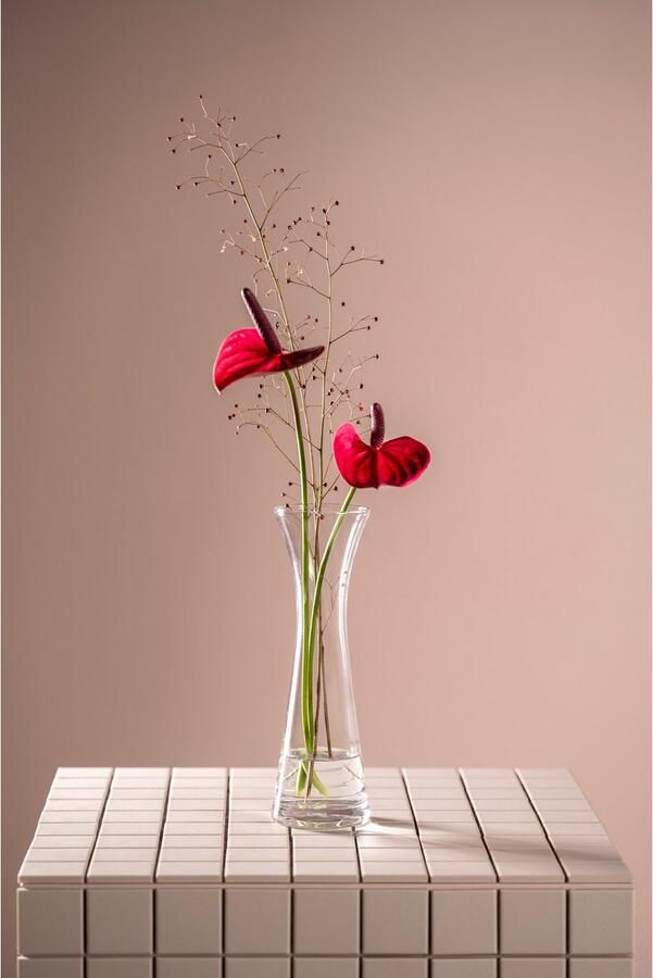 LEONARDO Siervaas GK Solifleurvaas 25 GIA (1 stuk) - Foto 3