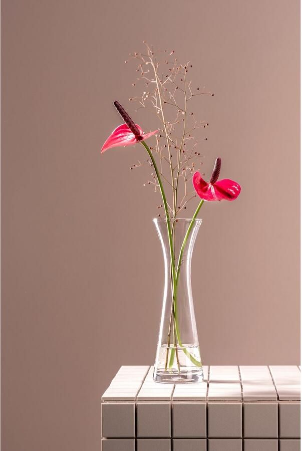 LEONARDO Siervaas GK Solifleurvaas 25 GIA (1 stuk) - Foto 2