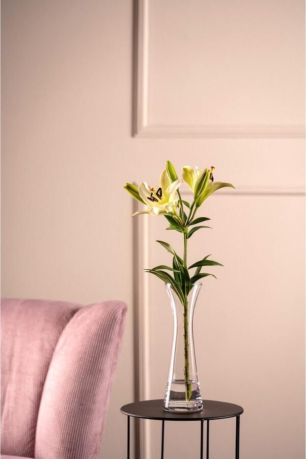 LEONARDO Siervaas GK Solifleurvaas 25 GIA (1 stuk) - Foto 4