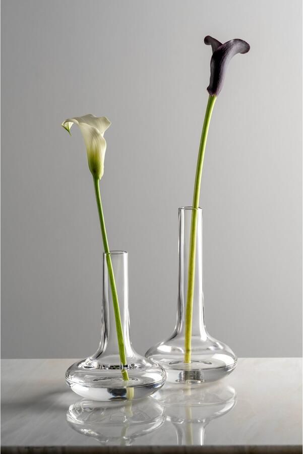 LEONARDO Siervaas GK Solifleurvaas ARIA (1 stuk)