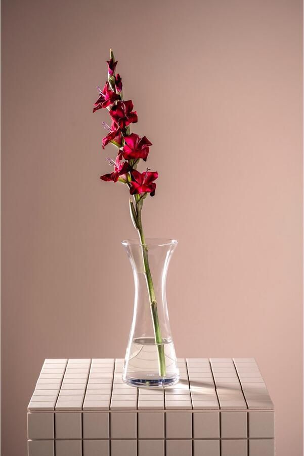 LEONARDO Siervaas GK Vaas GIA (1 stuk) - Foto 4