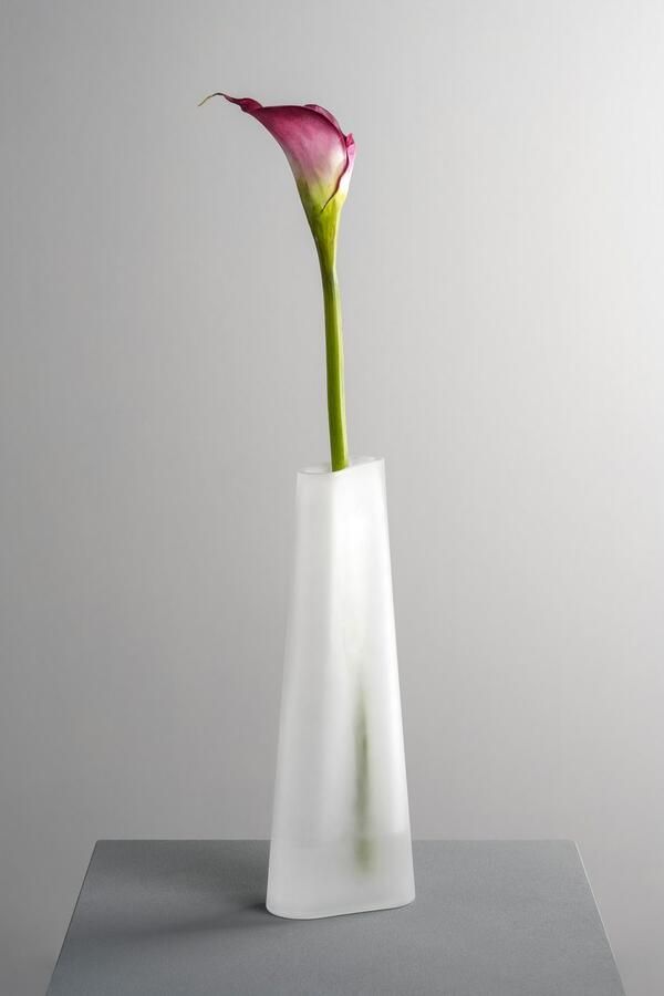 LEONARDO Siervaas GK Vaas TURNO (1 stuk) - Foto 3