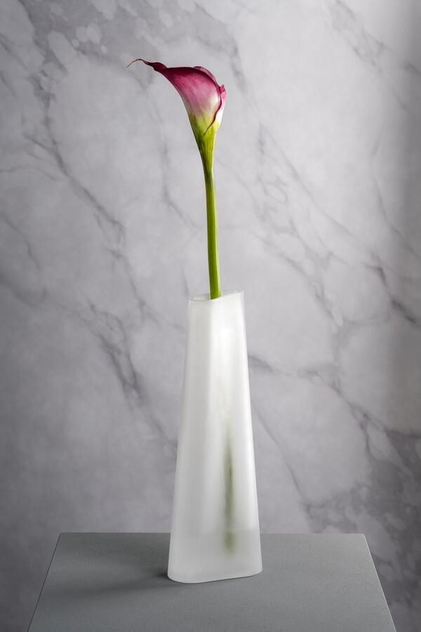 LEONARDO Siervaas GK Vaas TURNO (1 stuk) - Foto 4