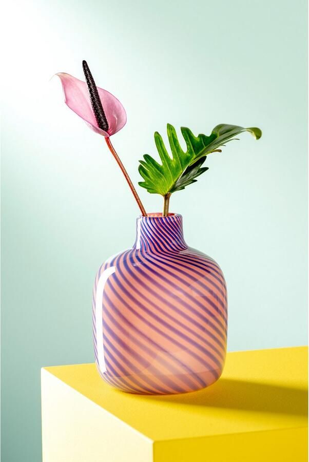 LEONARDO Siervaas Vaas FILO COLORI (1 stuk) - Foto 8