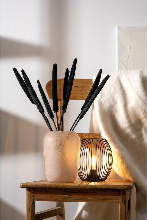 LEONARDO Siervaas Vaas TROGOLO (1 stuk) - Foto 5