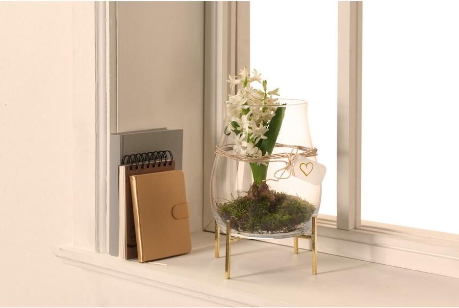 LEONARDO Windlicht Kaarsenhouder GIARDINO voor stompkaarsen (1 stuk) - Foto 4