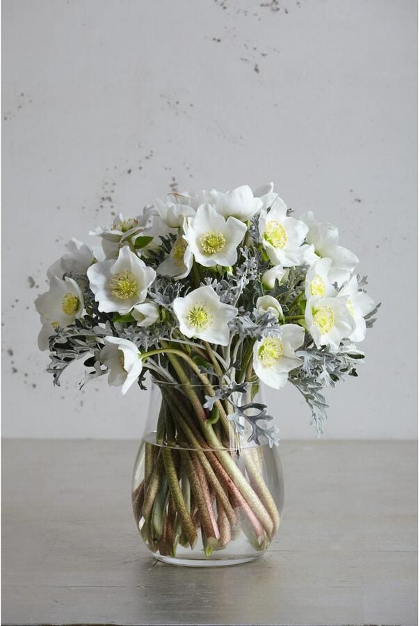 LEONARDO Windlicht Kaarsenhouder GIARDINO voor stompkaarsen (1 stuk) - Foto 5