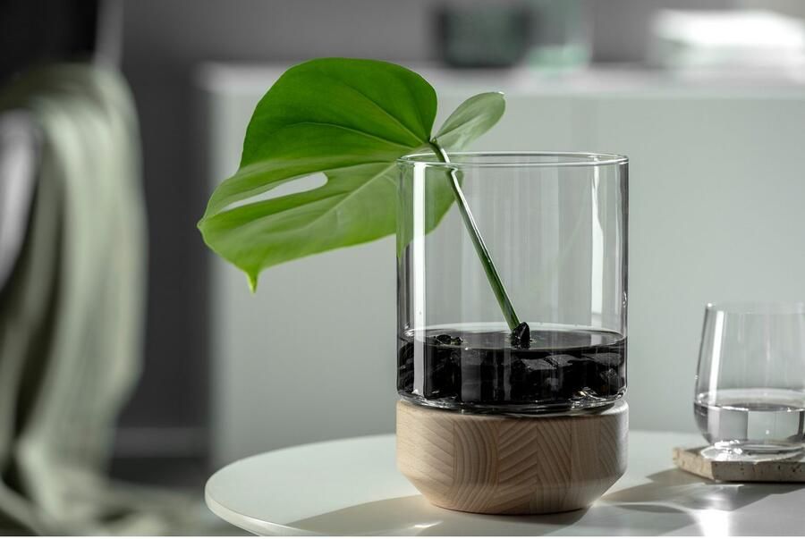 LEONARDO Windlicht op houten sokkel LEGNO (1 stuk) - Foto 4