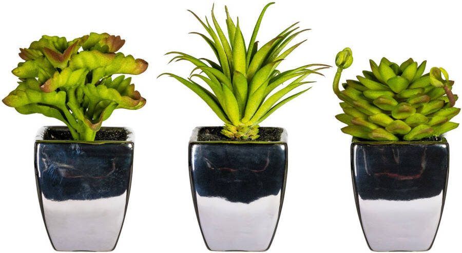 Leonique Kunstplant Loreen in een pot set van 3 (3 stuks) - Foto 4
