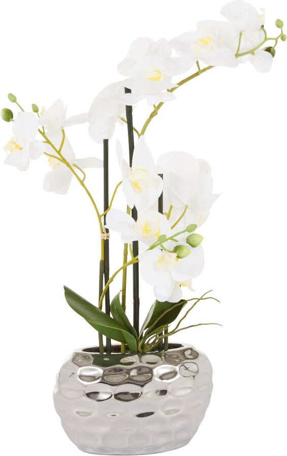 Leonique Kunstplant Orchidee Kunstorchidee in een pot (1 stuk) - Foto 5