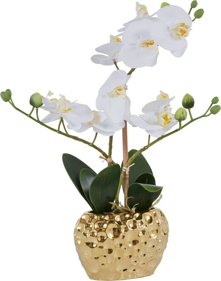Leonique Kunstplant Orchidee Kunstorchidee in een pot (1 stuk) - Foto 6