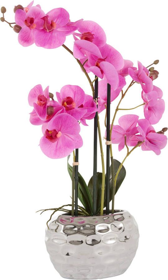 Leonique Kunstplant Orchidee Kunstorchidee in een pot (1 stuk) - Foto 5