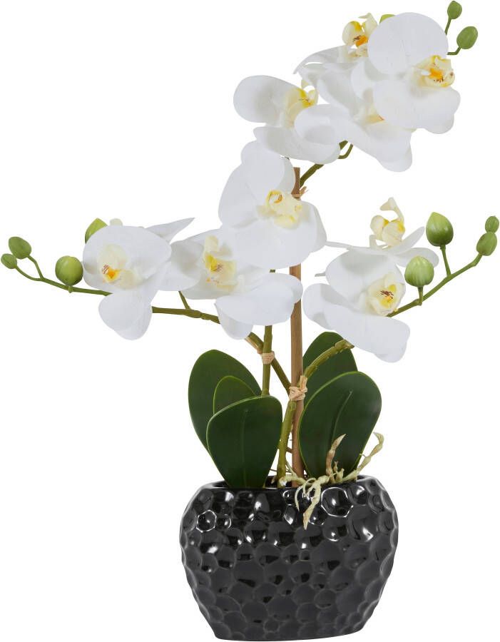 Leonique Kunstplant Orchidee Kunstorchidee in een pot (1 stuk) - Foto 6