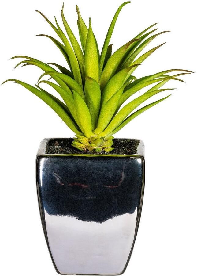 Leonique Kunstplant Loreen in een pot set van 3 (3 stuks)