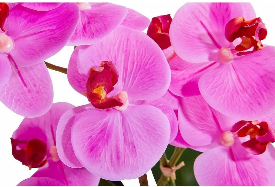 Leonique Kunstplant Orchidee Kunstorchidee in pot bestseller meer dan 2500 4 5-sterren beoordelingen (1 stuk) - Foto 5