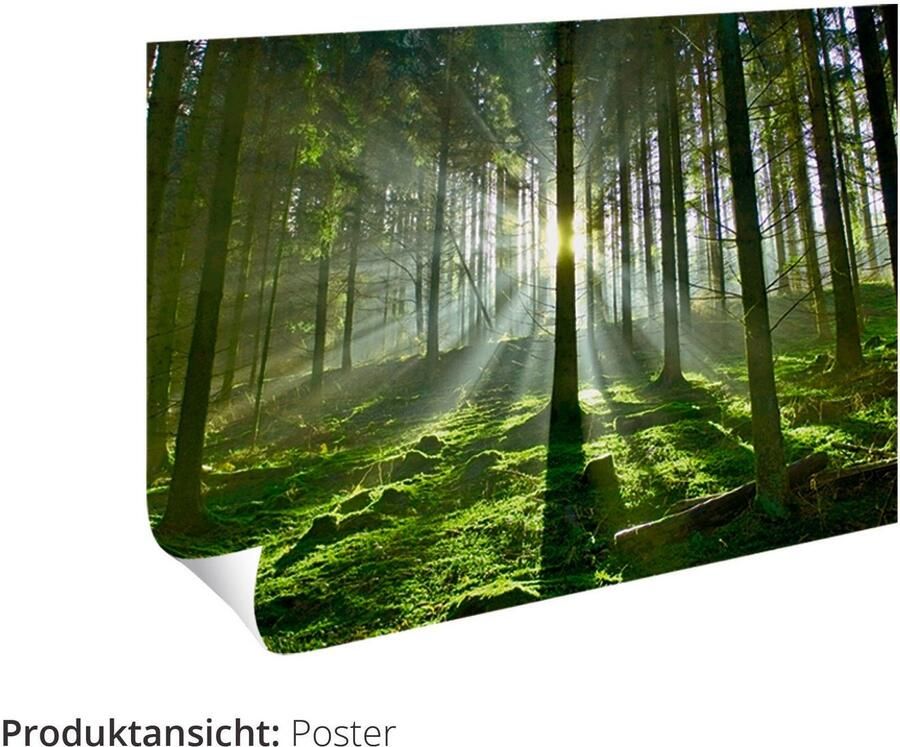 Leonique Poster Apen (1 stuk) - Foto 2