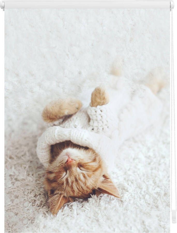 LICHTBLICK Rolgordijn met zijbediening Klemmfix digitaal Sleepy Cat (1 stuk) - Foto 2