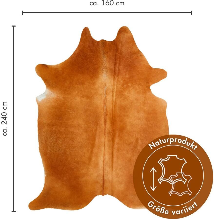 LUXOR living Vachtvloerkleed Rinderfell echte runderhuid natuurproduct iedere huid is uniek - Foto 4