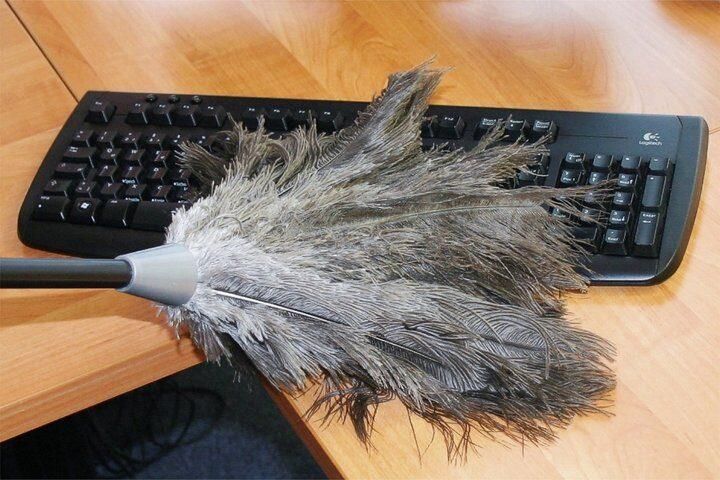 Maximex Plumeau Struisvogelveer Stof-Magneet Stofdoek met 100% echte struisvogelveren uittrekbare telescoopsteel (1 stuk) - Foto 2