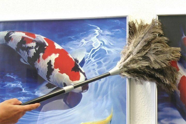 Maximex Plumeau Struisvogelveer Stof-Magneet Stofdoek met 100% echte struisvogelveren uittrekbare telescoopsteel (1 stuk) - Foto 3