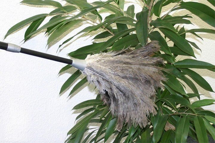 Maximex Plumeau Struisvogelveer Stof-Magneet Stofdoek met 100% echte struisvogelveren uittrekbare telescoopsteel (1 stuk) - Foto 4