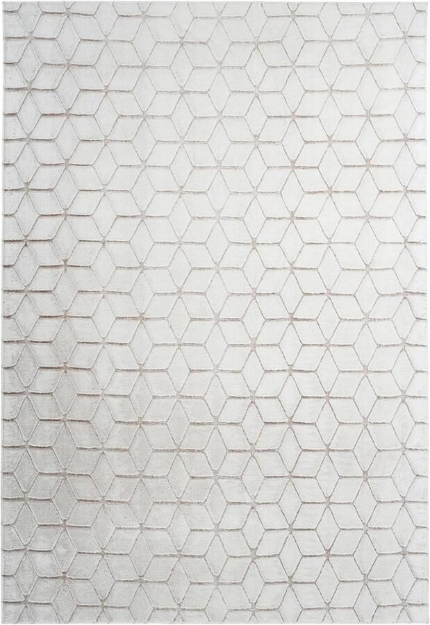 Calo-deluxe Vloerkleed Jardan-1000 bijzonder zacht door microvezel woonkamer - Foto 4