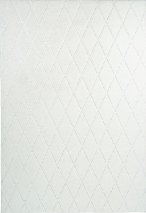 Calo-deluxe Vloerkleed Jardan-2000 bijzonder zacht door microvezel ruitdessin - Foto 3