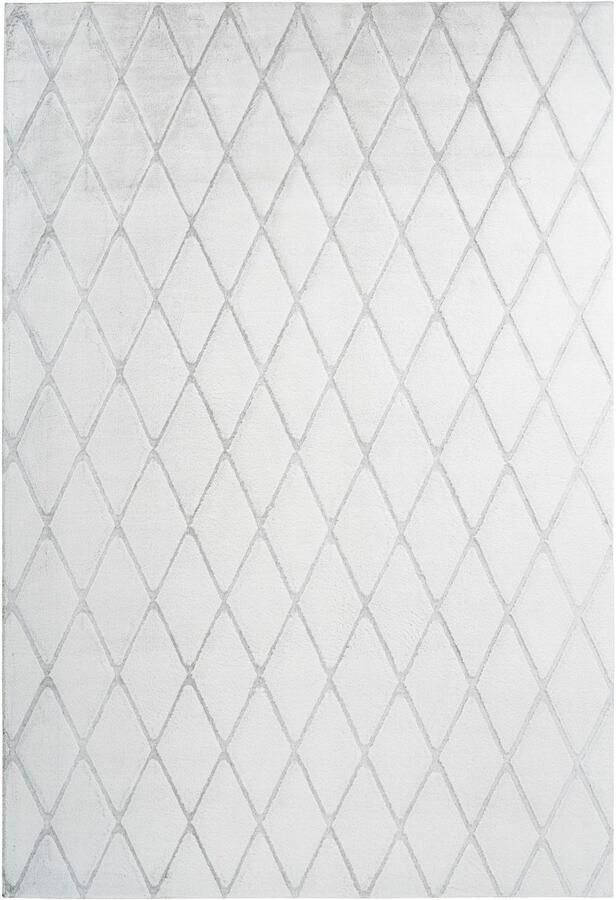 Calo-deluxe Vloerkleed Jardan-2000 bijzonder zacht door microvezel ruitdessin - Foto 3