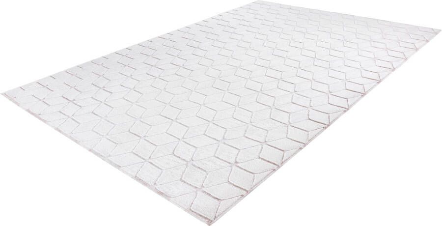 Calo-deluxe Vloerkleed Jardan-1000 bijzonder zacht door microvezel woonkamer - Foto 6
