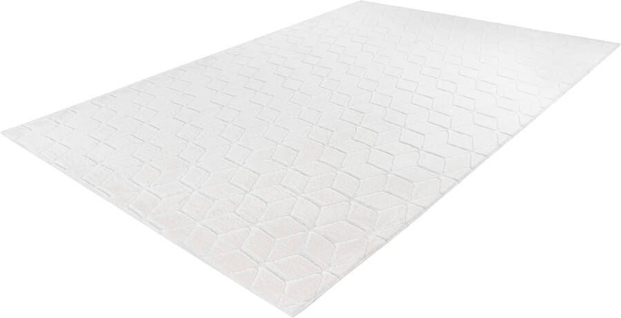 Calo-deluxe Vloerkleed Jardan-1000 bijzonder zacht door microvezel woonkamer - Foto 7