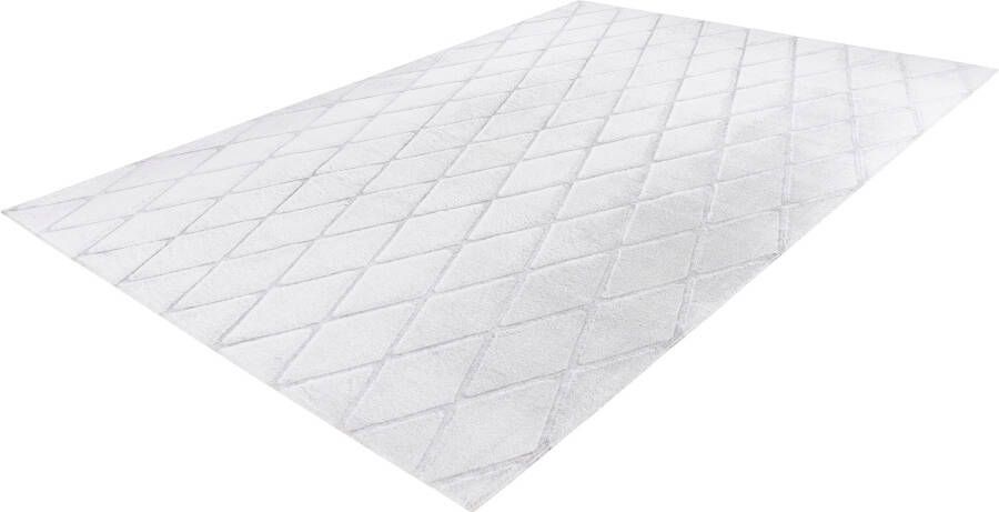 Calo-deluxe Vloerkleed Jardan-2000 bijzonder zacht door microvezel ruitdessin - Foto 6