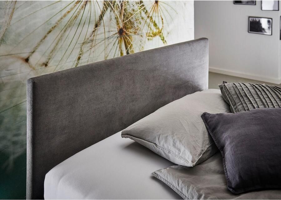 Meise EMOB Eenpersoonsbed Cool 120 x 200 cm Antraciet Gestoffeerde twijfelaarbedden Antraciet Stof Gestoffeerde twijfelaarbedden Twijfelaar (120 cm breed) Normaal bed Op voorraad - Foto 6