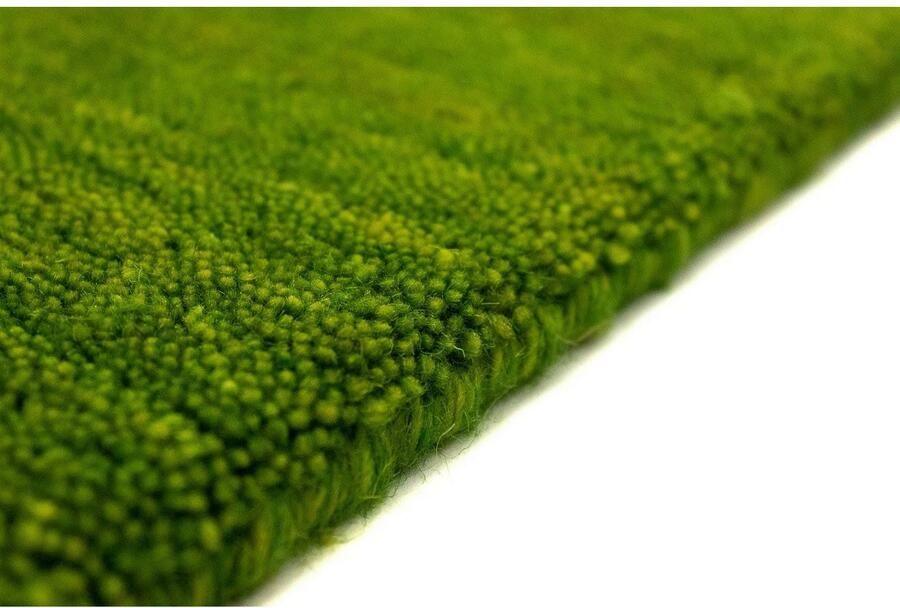 Morgenland Wollen kleed GABBEH FEIN FENTH zuiver scheerwol veelkleurig randdessin woonkamer - Foto 4