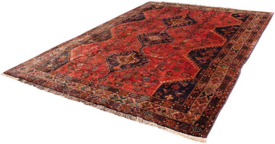 Morgenland Wollen kleed Ghom velden marone chiaro 252 x 195 cm