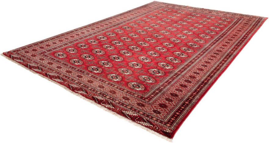 Morgenland Wollen kleed Meymeh medaillon rosso scuro 324 x 235 cm