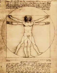 My home Artprint L.Da Vinci Schema della Proporzioni (1 stuk)