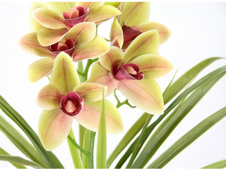 My home Kunstbloem Orchidee Met bladeren in pot van cement kunstbloem Cymbidium-orchidee (1 stuk) - Foto 2