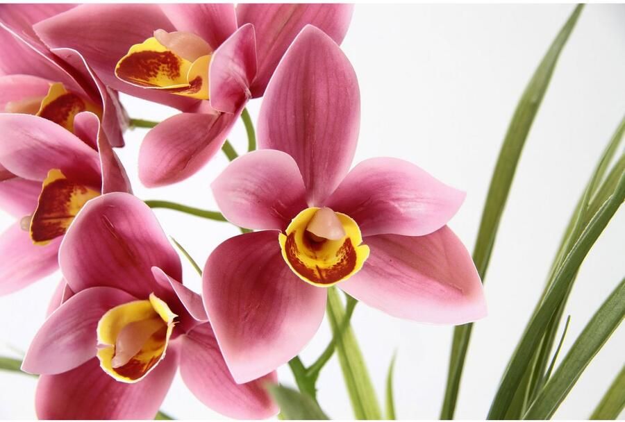 My home Kunstbloem Orchidee Met bladeren in pot van cement kunstbloem Cymbidium-orchidee (1 stuk) - Foto 3