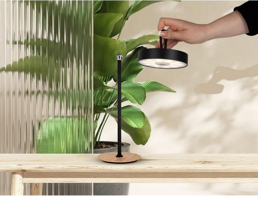 My home Led-tafellamp Charmont met houten voet afneembare hoofdkant als hanglamp te gebruiken oplaadbaar incl. accu + usb-kabel hoofdeinde magnetisch afneembaar hout (1 stuk) - Foto 2