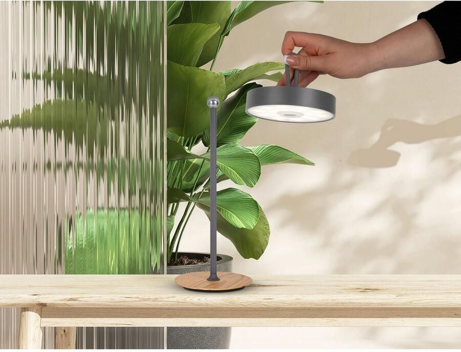 My home Led-tafellamp Charmont met houten voet afneembare hoofdkant als hanglamp te gebruiken oplaadbaar incl. accu + usb-kabel hoofdeinde magnetisch afneembaar hout (1 stuk) - Foto 3