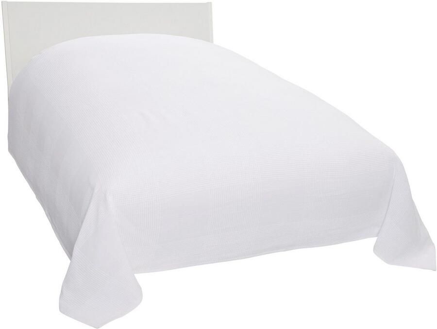 My home Sprei Mira lichte sprei van 100% katoen uni foulard zonder vulling - Foto 2