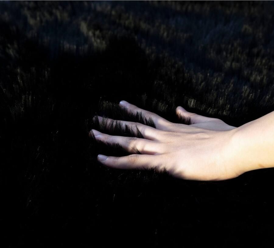 My home Vachtvloerkleed Dena hoogpolige tapijten Imitatiebont zacht unikleuren woonkamer slaapkamer eetkamer - Foto 4