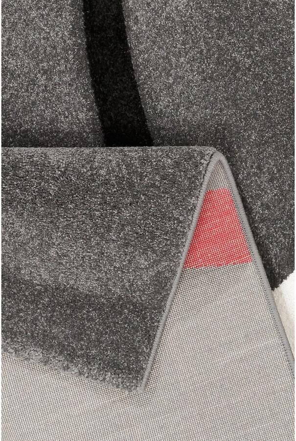 My home Vloerkleed Bilbao handgemaakt contourensnede kortpolig hoog-laag 3d-design - Foto 5